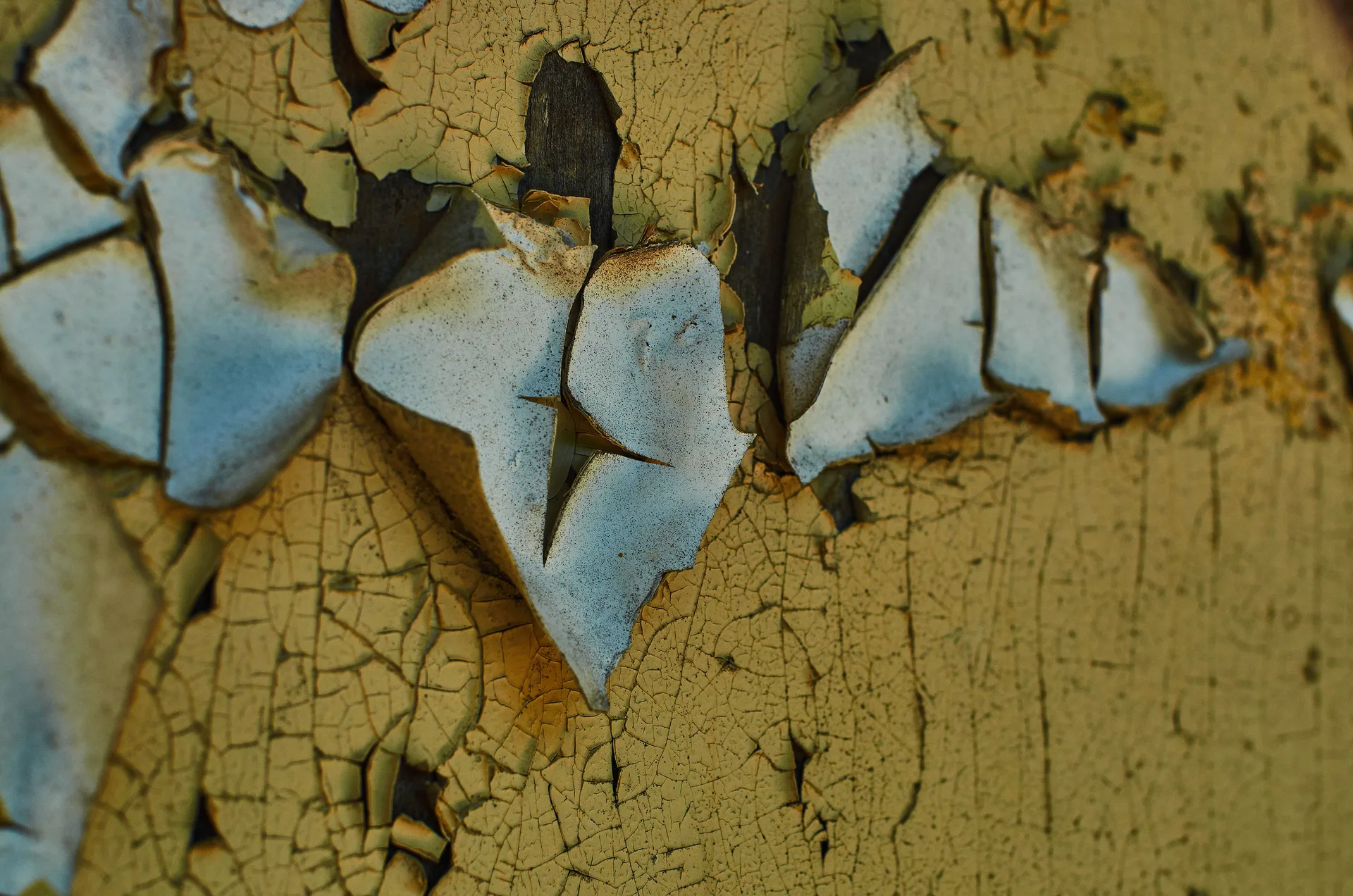 Bits of Berlin image sequence, row 1, frame 1
