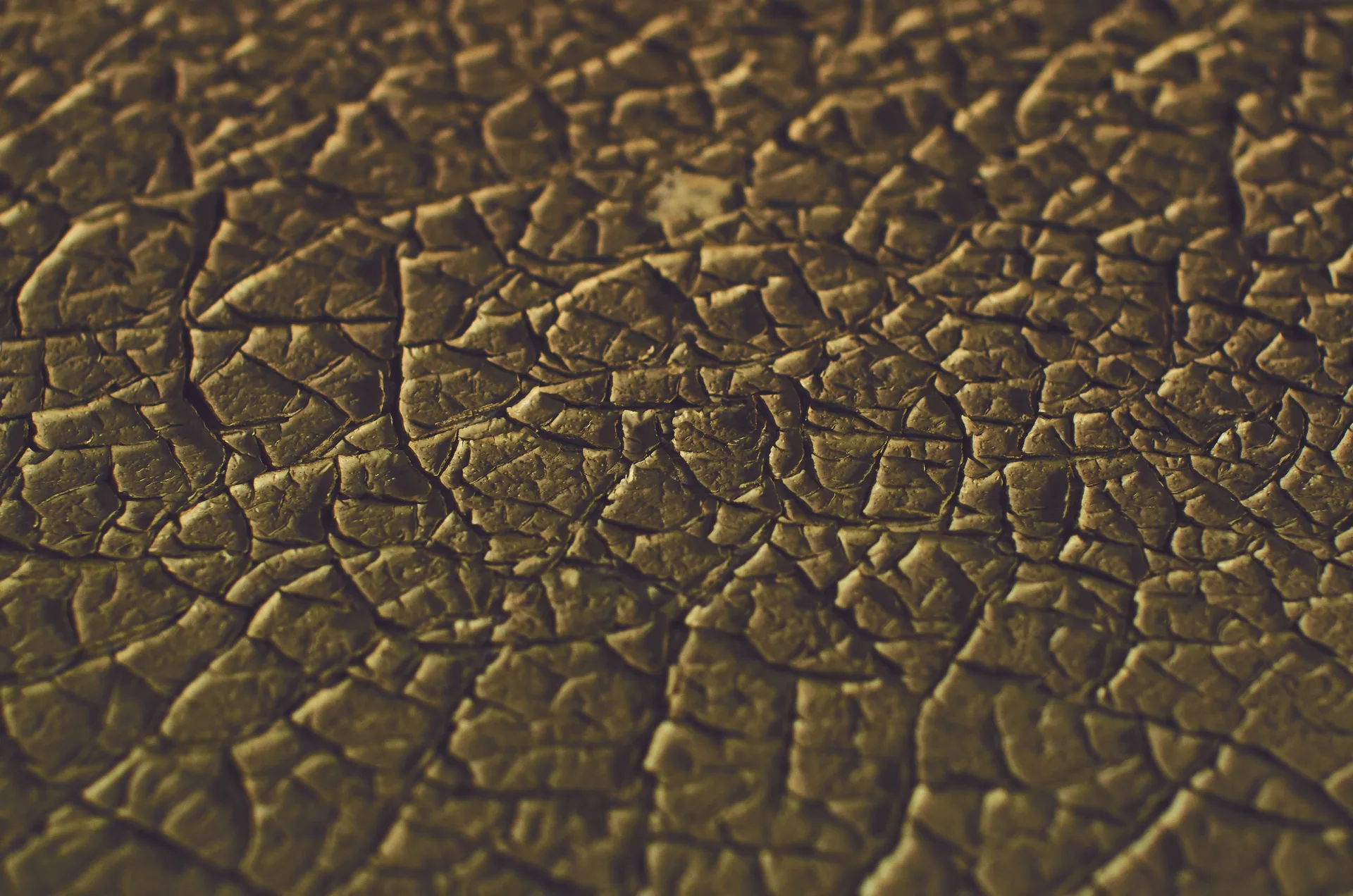 Bits of Berlin image sequence, row 2, frame 1