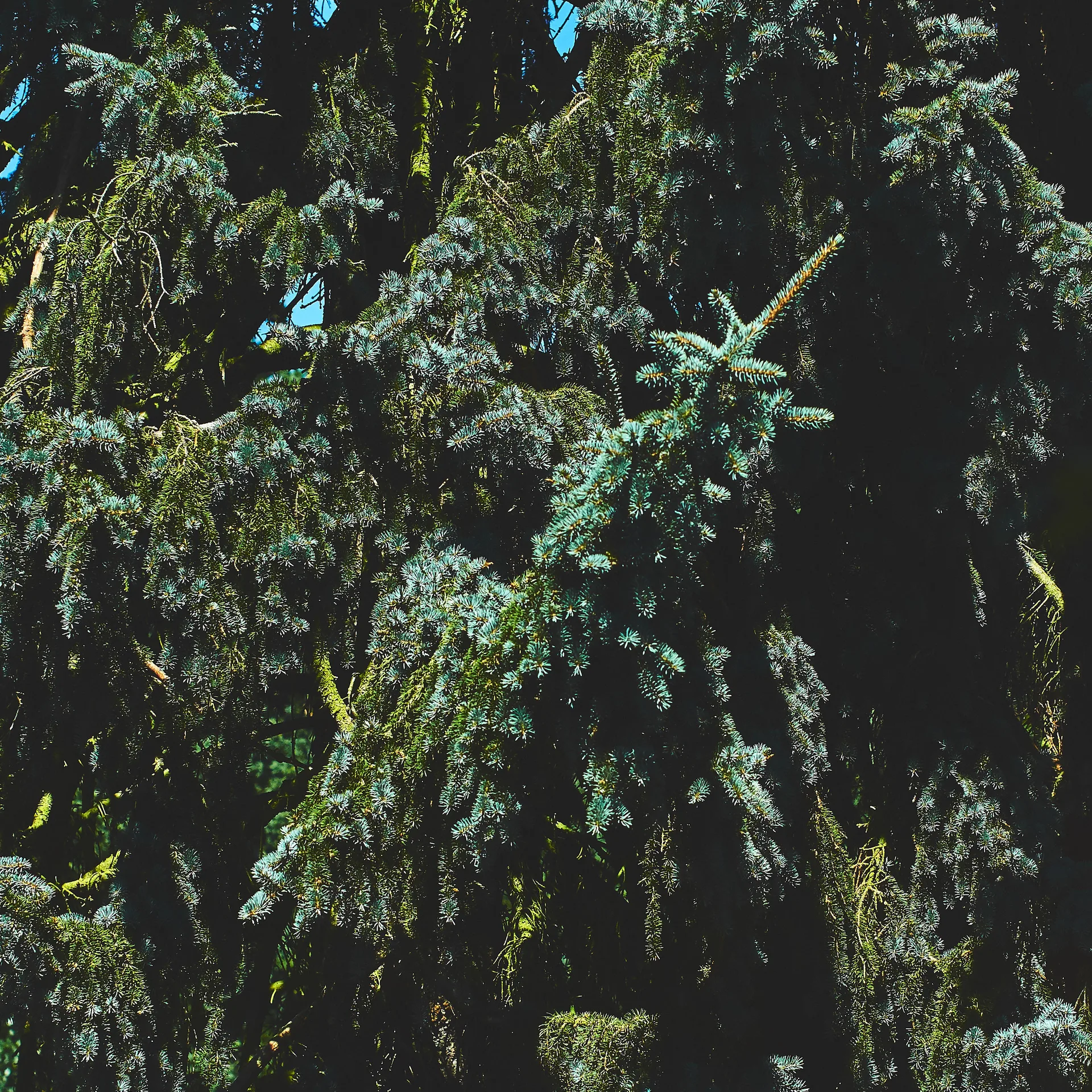 Bits of Berlin, image 33