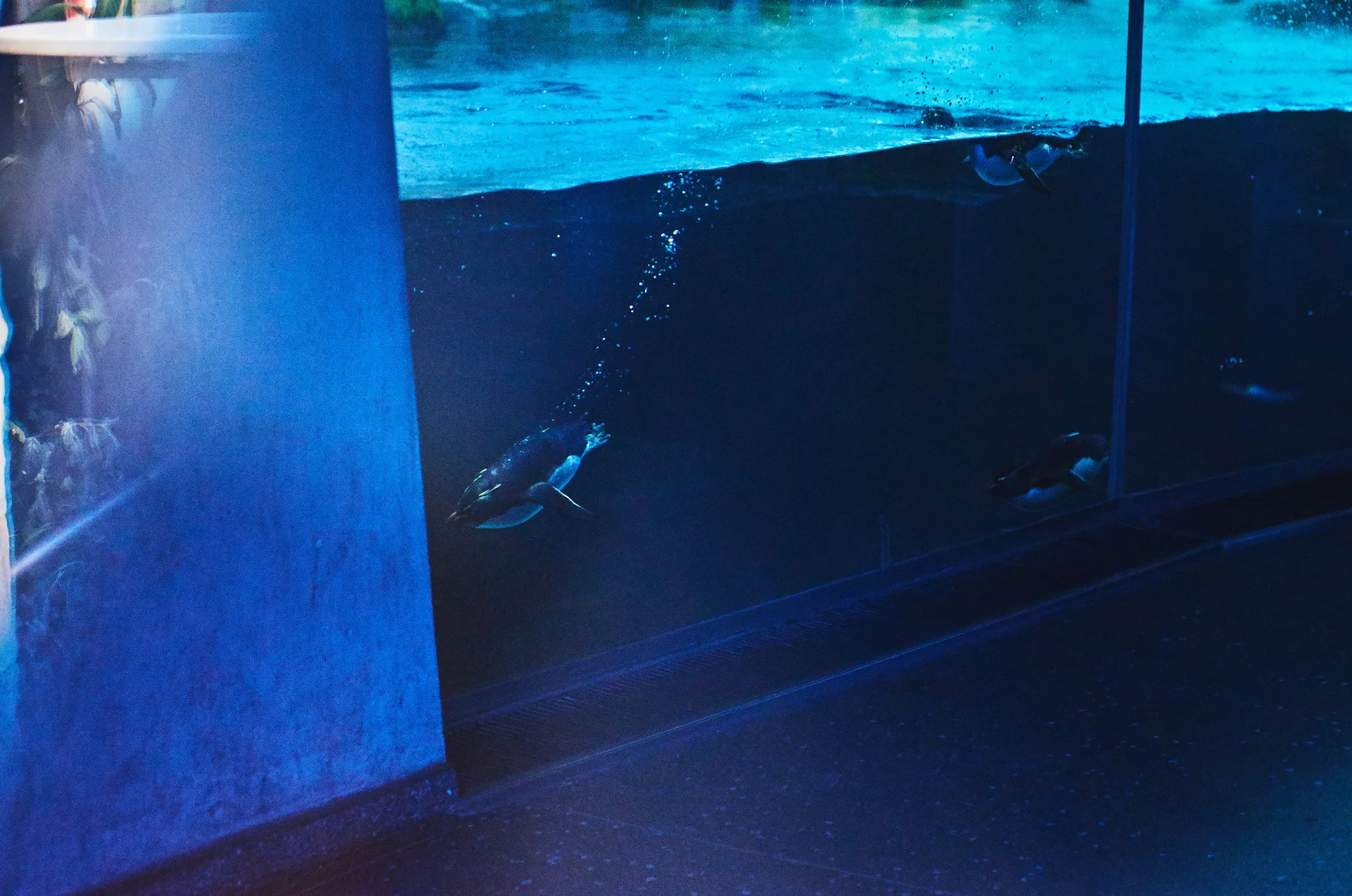 Bits of Berlin, image 37