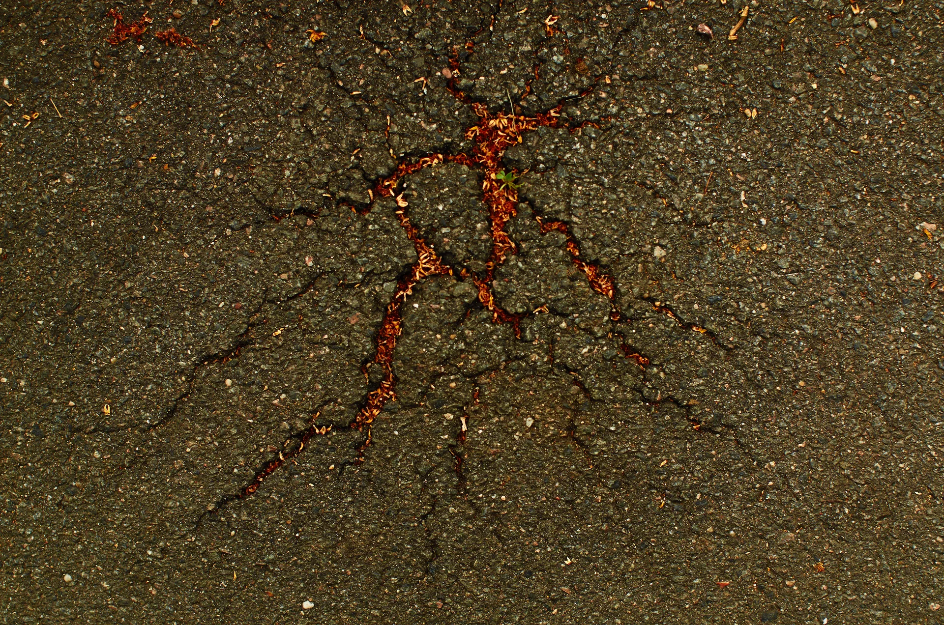 Bits of Berlin, image 44