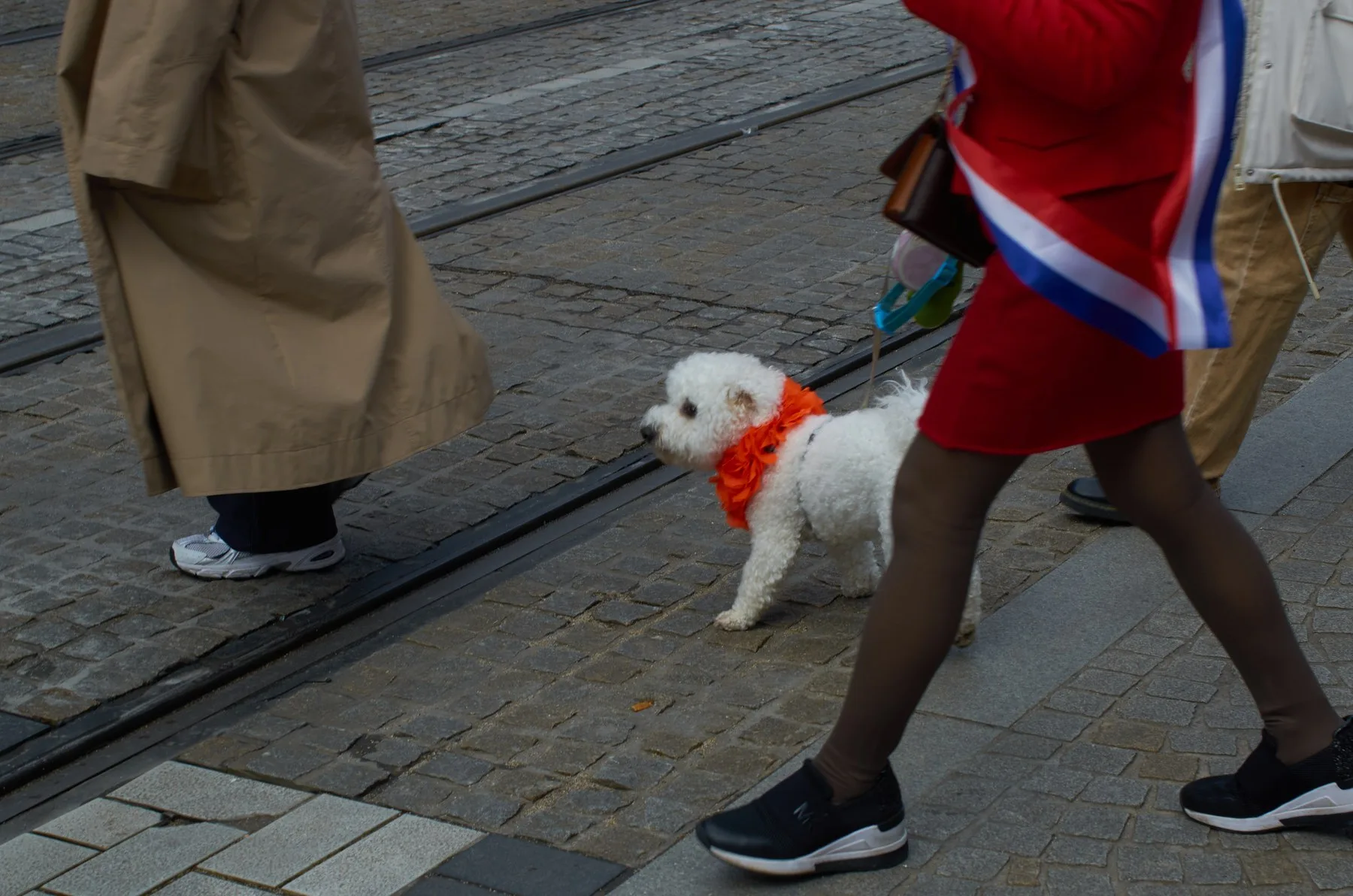 The Long Way to King's Day supporting sequence, frame 4