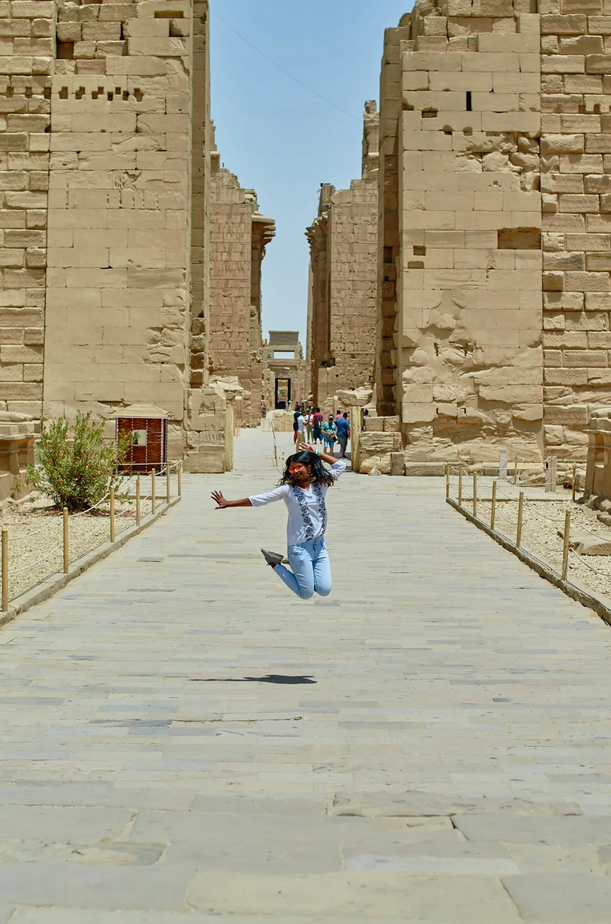 Luxor & Aswan supporting sequence, frame 2