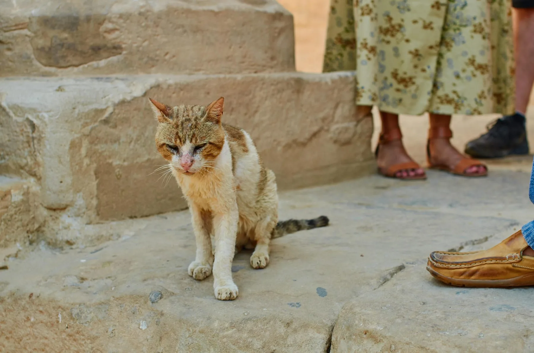 Luxor & Aswan, dsc-1685