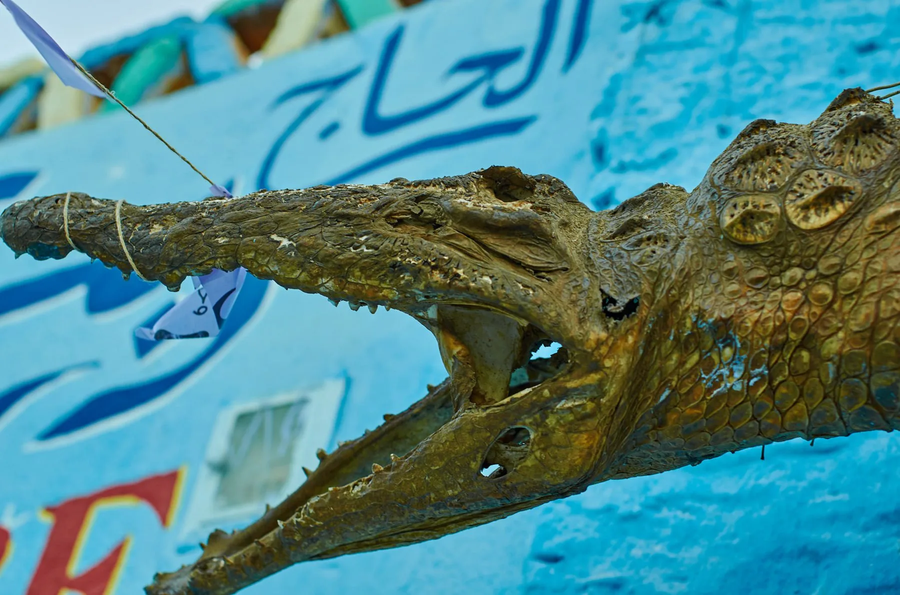 Luxor & Aswan supporting sequence, frame 1