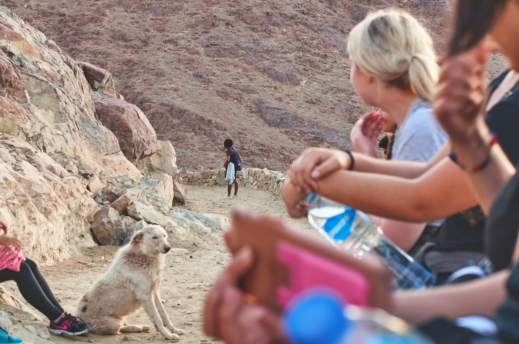 Salt, Wind & Sinai supporting sequence, frame 1