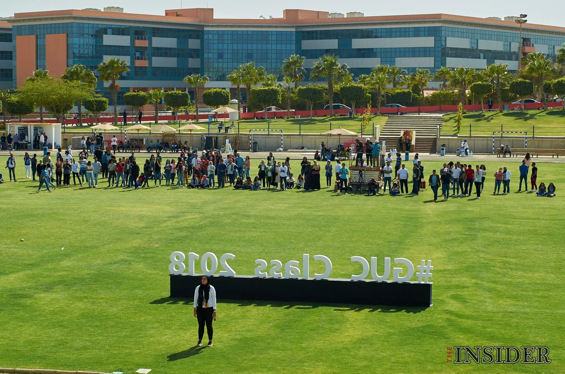 The Field, image 1
