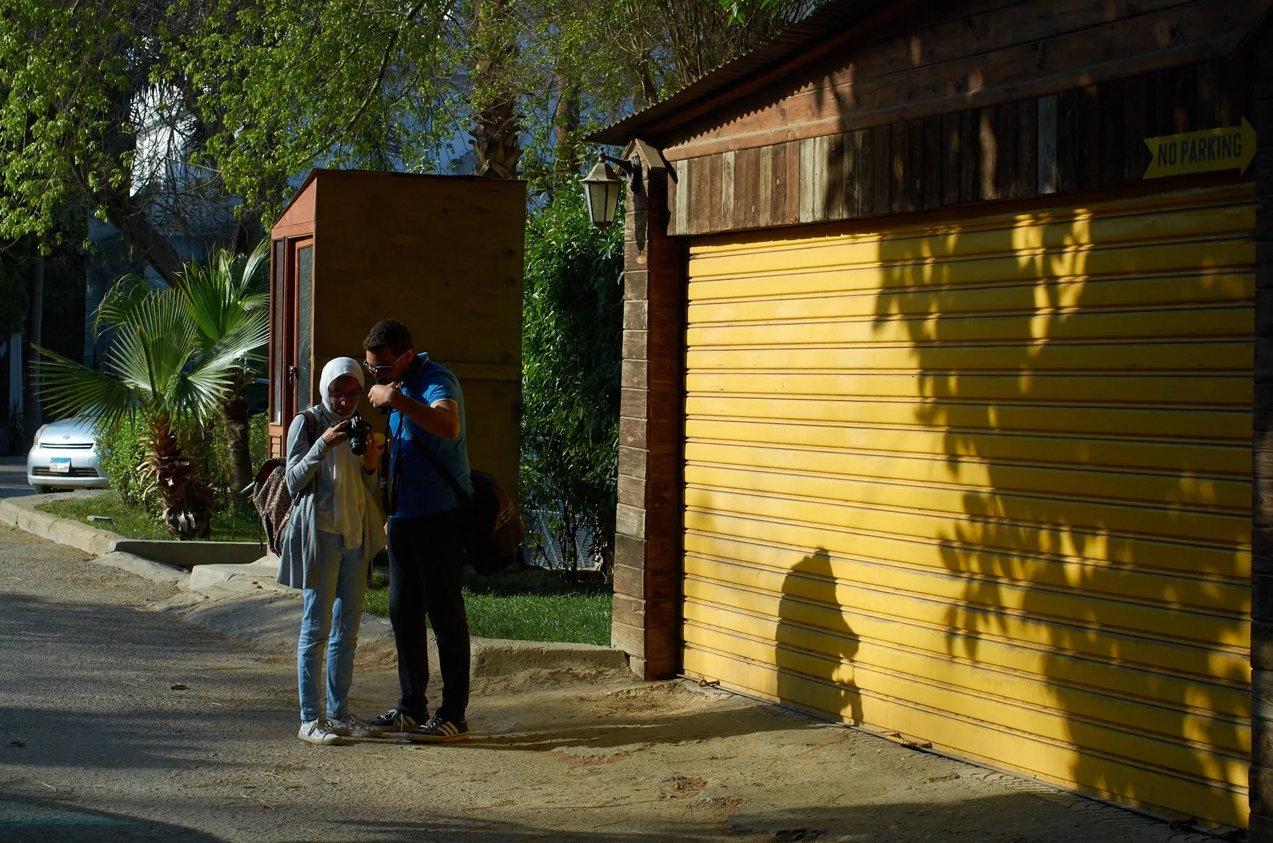 Went Looking supporting sequence, frame 3