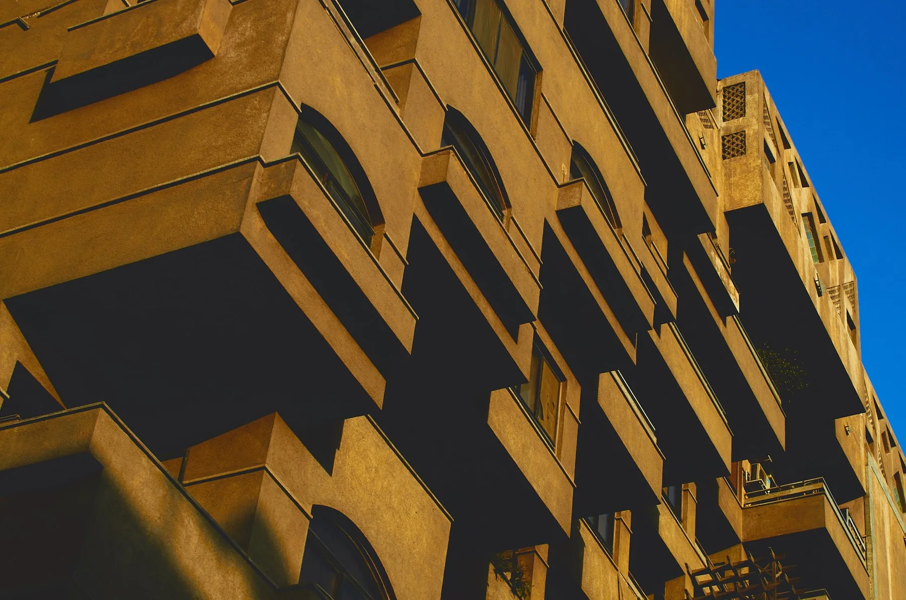 Went Looking supporting sequence, frame 1